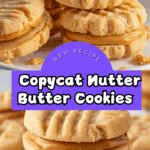Homemade Copycat Nutter Butters Recipe